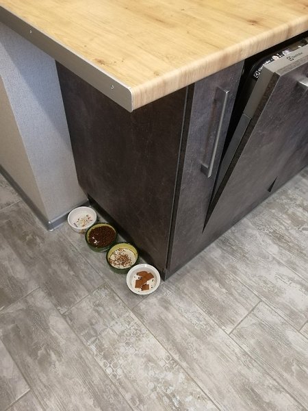 � ����� ��������� ������ ��������� �������� ������, ��������� �� ��� ��� - 4