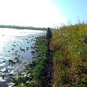 ���� �������, �����������, 46 ��� - ��������� 30 ������� 2019