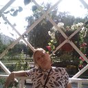 ���� ��������, ������, 47 ��� - ��������� 19 ������� 2019