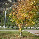 ���� ������, ��������� - ��������� 15 ������� 2019 � ������ ���� ����������