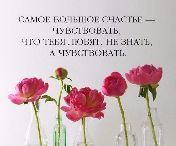   - 20  2019  03:31