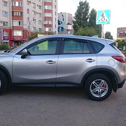 �����, �������, 63 ����