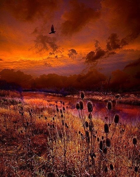 Art & Fun - 23  2019  03:14 - 2