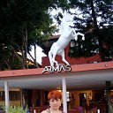 ���� �������, �������, 45 ��� - ��������� 5 ���� 2019 � ������ ���� ����������