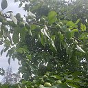 ���� ����, ������, 61 ��� - ��������� 27 ���� 2019 � ������ ���� ����������