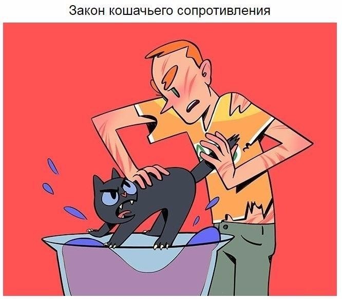    - 3