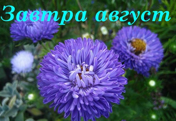   ,    . - 31  2019  13:40