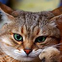 ���� ������, ������, 42 ���� - ��������� 11 ������ 2019 � ������ ���� ����������