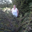  Natalia, , 71  -  17  2019    