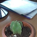 ���� ������ �������������, ������, 53 ���� - ��������� 17 ���� 2019 � ������ �������