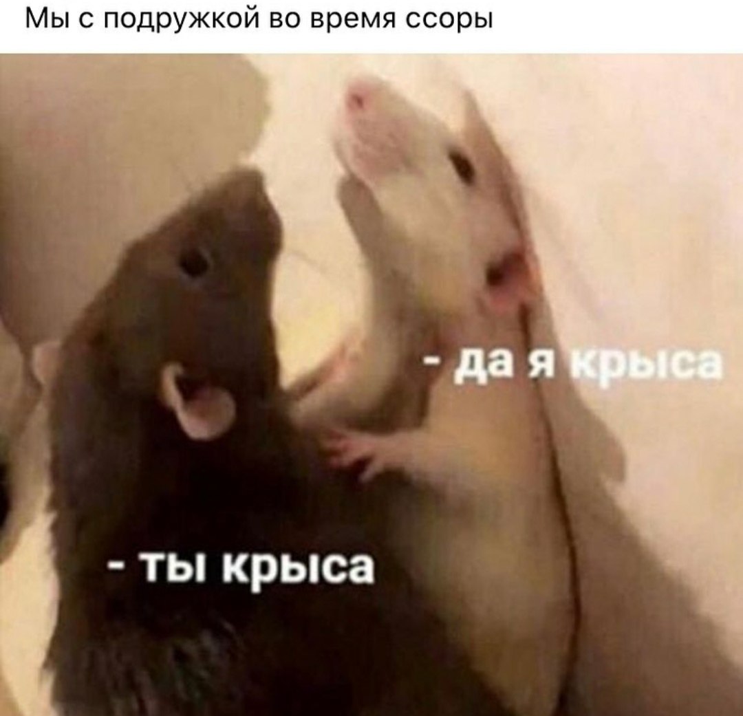 ))))))))))