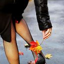 ���� �����, ������� - ��������� 27 �������� 2019 � ������ ���� ����������