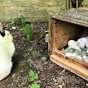 ���� Ashot, ������, 67 ��� - ��������� 9 ���� 2019 � ������ ������ ��������