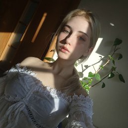 ����, �����-���������, 27 ���