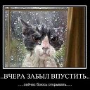 ���� ���, ������, 47 ��� - ��������� 20 ��� 2019 � ������ ������ ��������