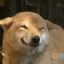 ���� ������, �������, 61 ��� - ��������� 25 ������ 2019 � ������ ���� ����������