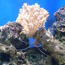 ���� �������, �������, 41 ��� - ��������� 11 ������� 2019 � ������ ���� ����������