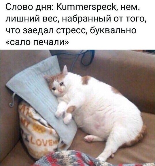  - 6  2019  19:11