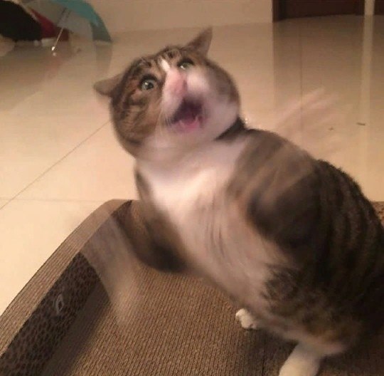      - 7
