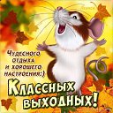 ���� �������, ����, 64 ���� - ��������� 28 �������� 2019