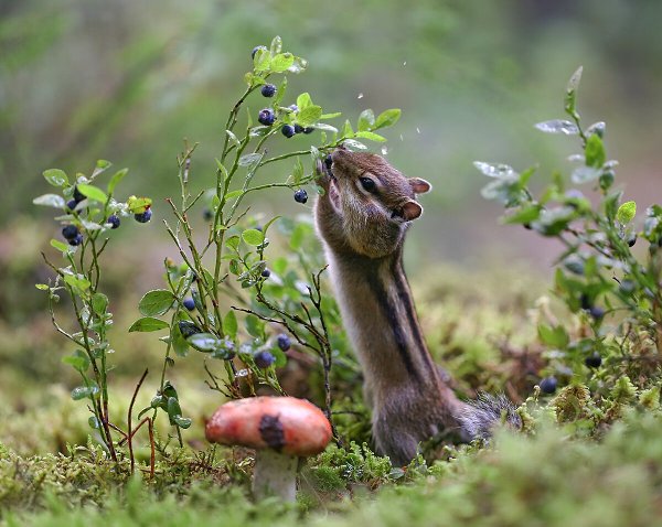 �������� �������! - 11 �������� 2019 � 07:55 - 4