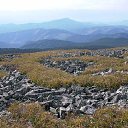  , -, 64  -  20  2019    