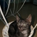 ���� ������, ���������, 39 ��� - ��������� 25 ���� 2019