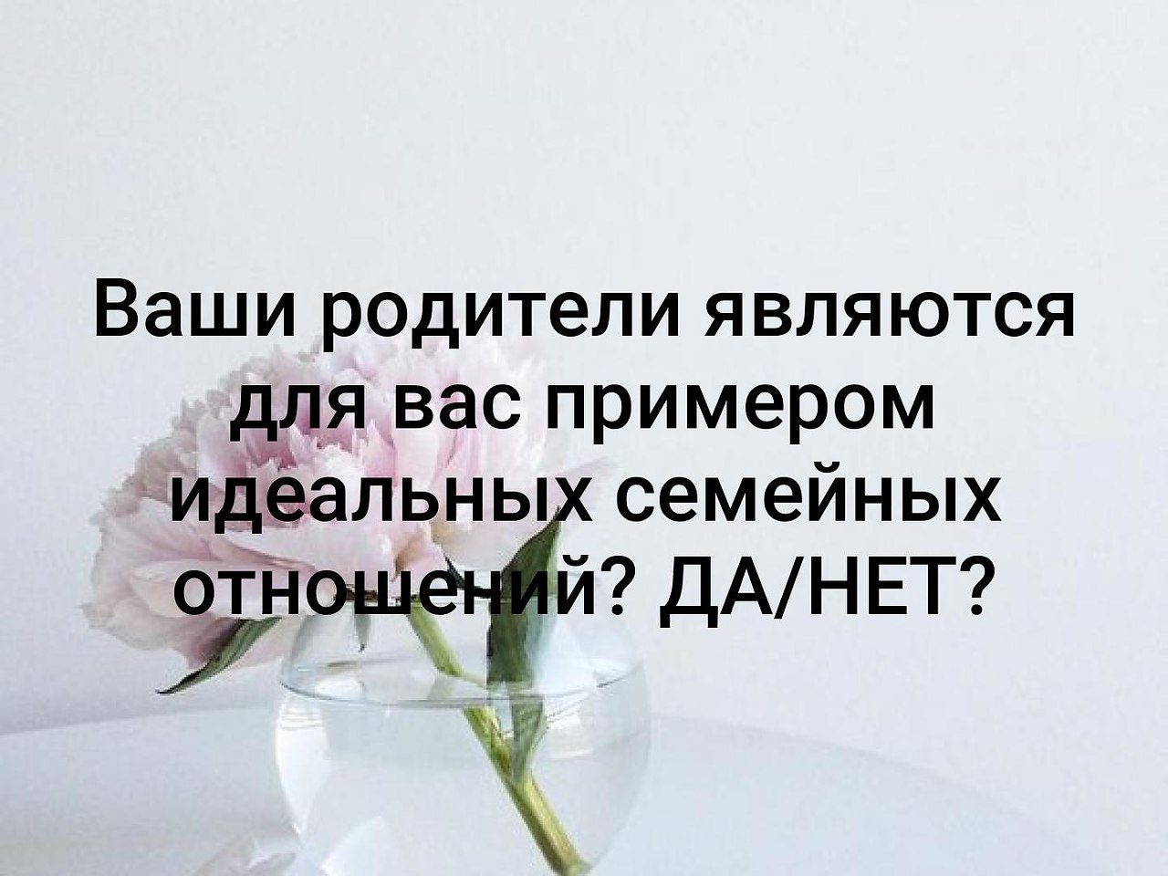   - 31  2019  03:51