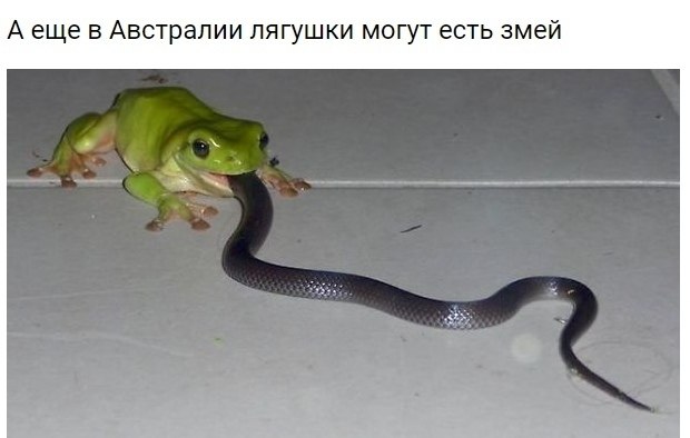    - 3