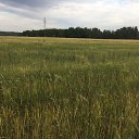 ���� ��������� *******, ����, 66 ��� - ��������� 15 ���� 2019 � ������ ���� ����������