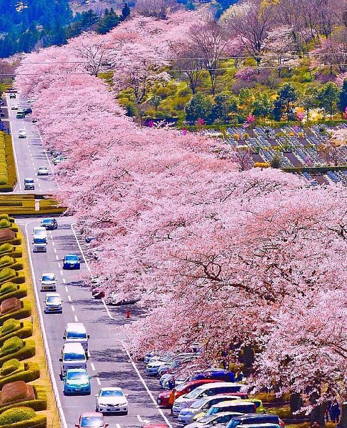 Shizuoka, Japan