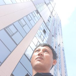 �����, ��������, 40 ���