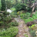 ���� ������, ���������, 51 ��� - ��������� 19 ���� 2019 � ������ ���� ����������