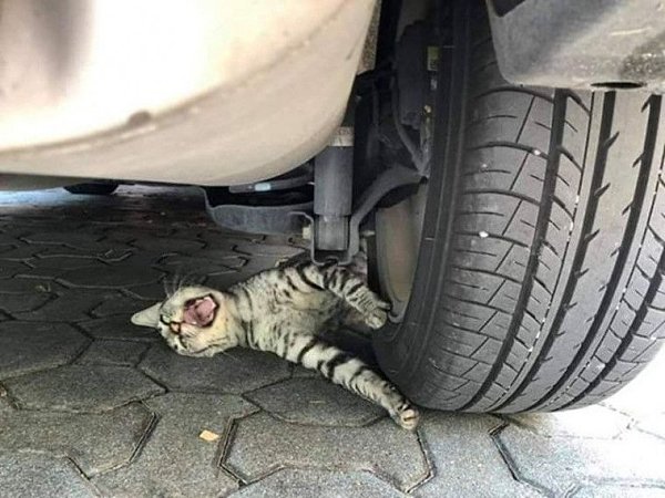    -   - 2
