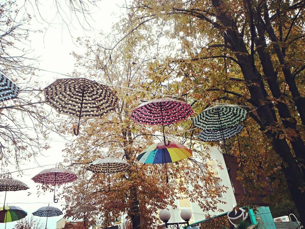 .....   ....      .....   ,  ... - 10