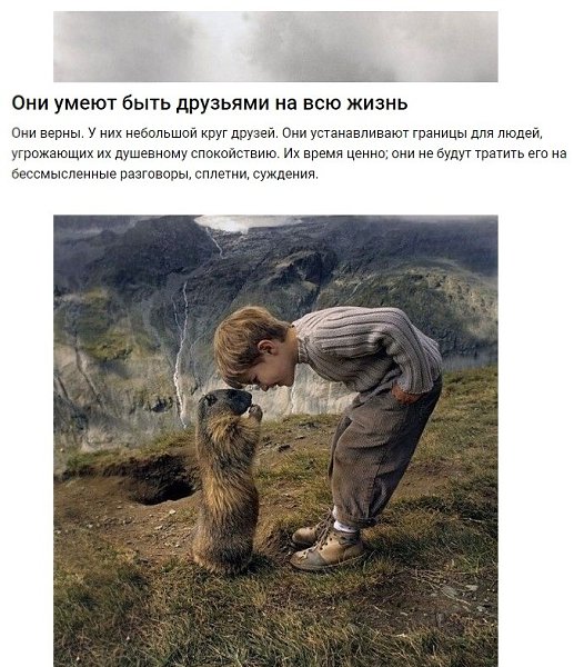 Людей, любящих одиночество, считают странными и застенчивыми. Давайте разберем основные 5 качеств ... - 5