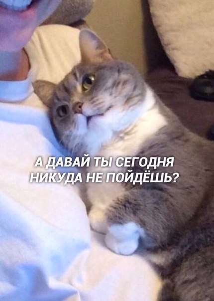     ... ?