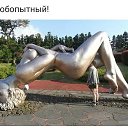 ���� ������, ��������, 62 ���� - ��������� 22 ��� 2019