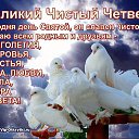 ���� �����, ����-�������, 49 ��� - ��������� 25 ������ 2019 � ������ ���� ����������