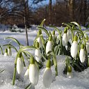 ���� ������, ������������ - ��������� 11 ������ 2019 � ������ ���� ����������