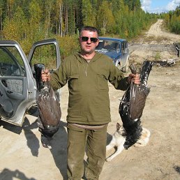 ���������, ���������, 60 ���