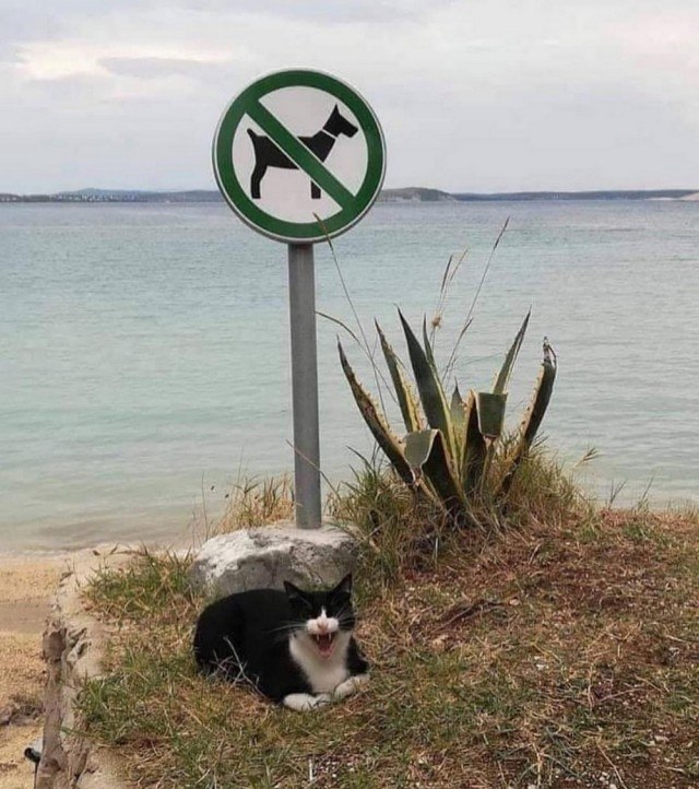 O 