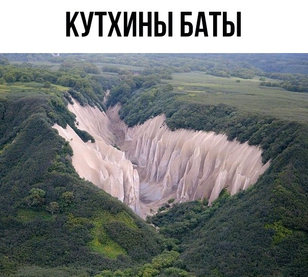   ,    .