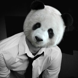 ���� Boy Panda, ��������� - ��������� 2 ������� 2019