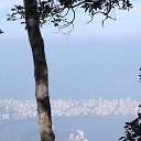 ��� �� ������� ���� 2019�