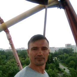 ������, �����������, 42 ����