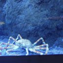 ���� Sandra, ������ - ��������� 6 ��� 2019 � ������ �������������