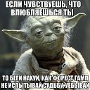 ���� �����������, ������� - ��������� 24 ���� 2019 � ������ ������ ��������