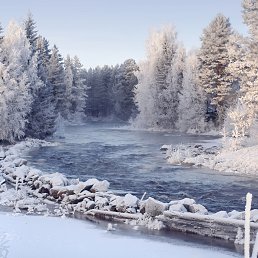 �������, �����, 46 ���