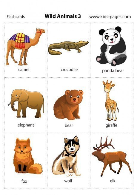  - Animals - 5